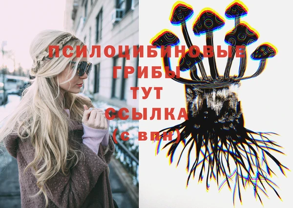 хмурый Михайловка