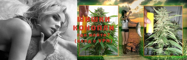 Альфа ПВП Надым
