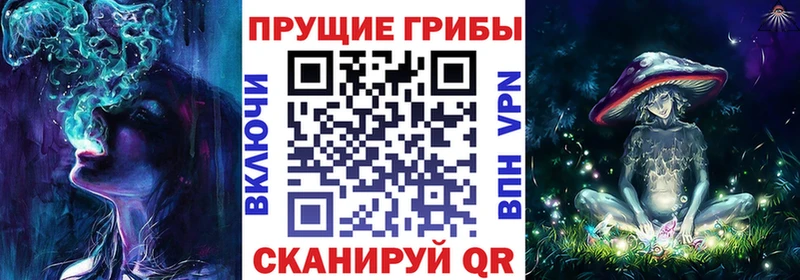 продажа наркотиков  Ессентуки  Псилоцибиновые грибы GOLDEN TEACHER 