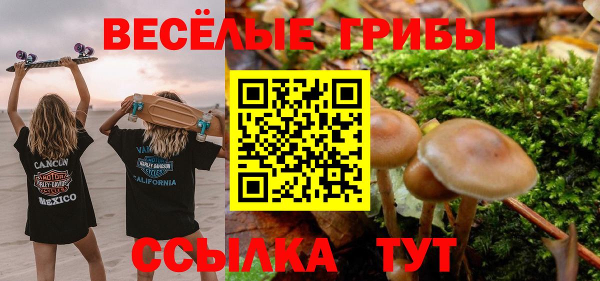 Галлюциногенные грибы GOLDEN TEACHER  Вход с VPN  Ессентуки 