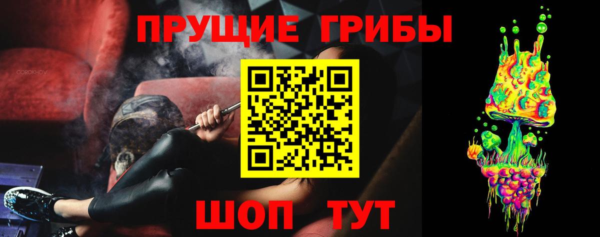 Галлюциногенные грибы Psilocybine cubensis Ессентуки
